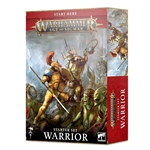 80-15 Warhammer Age of Sigmar Warrior Starter Set
